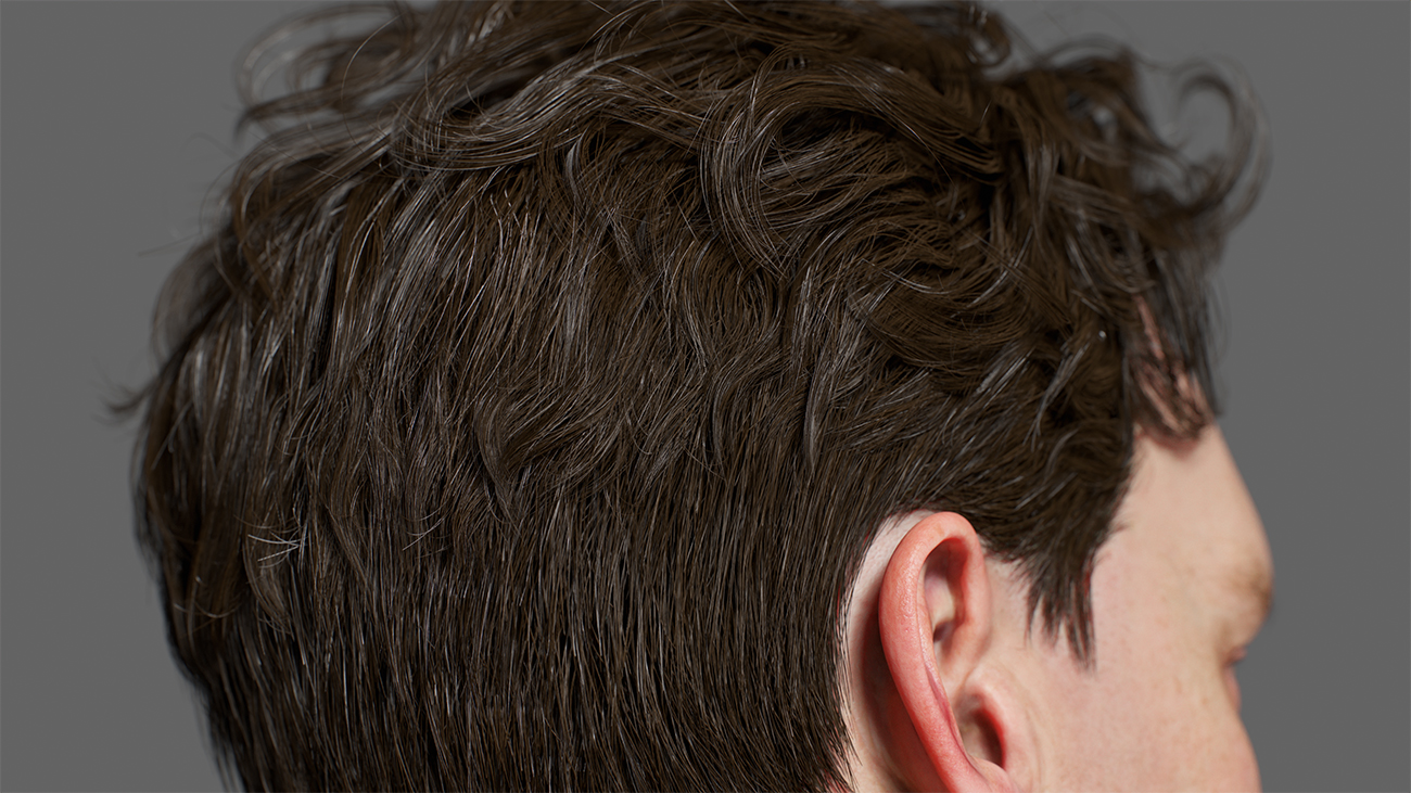 Download realtime hair for blender